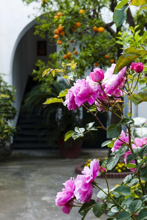 Back To Sorrento Bed & Breakfast Sant'Agnello Exterior photo