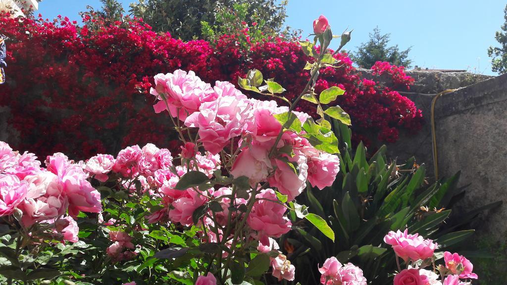 Back To Sorrento Bed & Breakfast Sant'Agnello Exterior photo